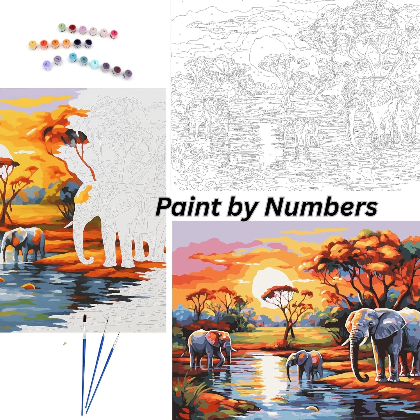 Rolled Up Canvas Paint by Numbers – 30x40cm | 20 Colours, 2 Brushes – Ideal Art Set for Kids & Adults, Beginners & Artists (Elephant)
