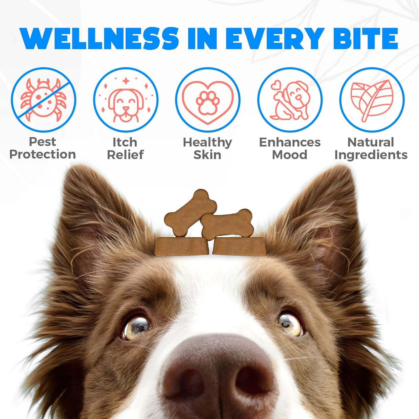Flea and Tick Treatment for Dogs Chewable - 150 Chews - Dog flea & Tick Control - Flea and Tick Chewables for Dogs - Vet approved US Oral Flea Treatment for Dogs - Beef