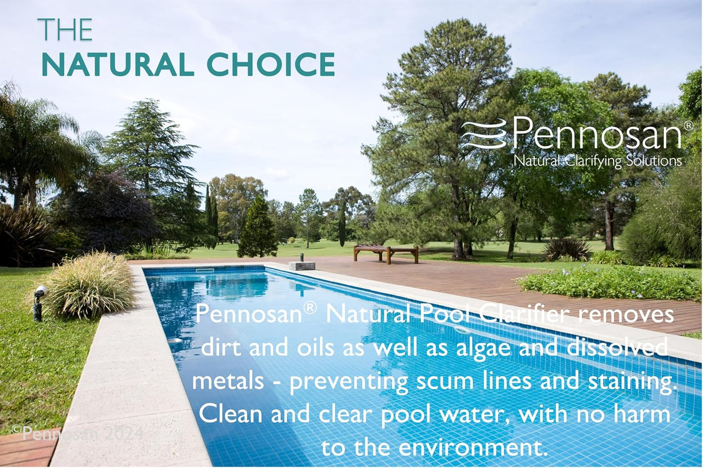 Natural Pool Clarifier 1L | The Natural Choice | Non-Chemical Pool Clarifier | For Crystal Clear, Clean Water