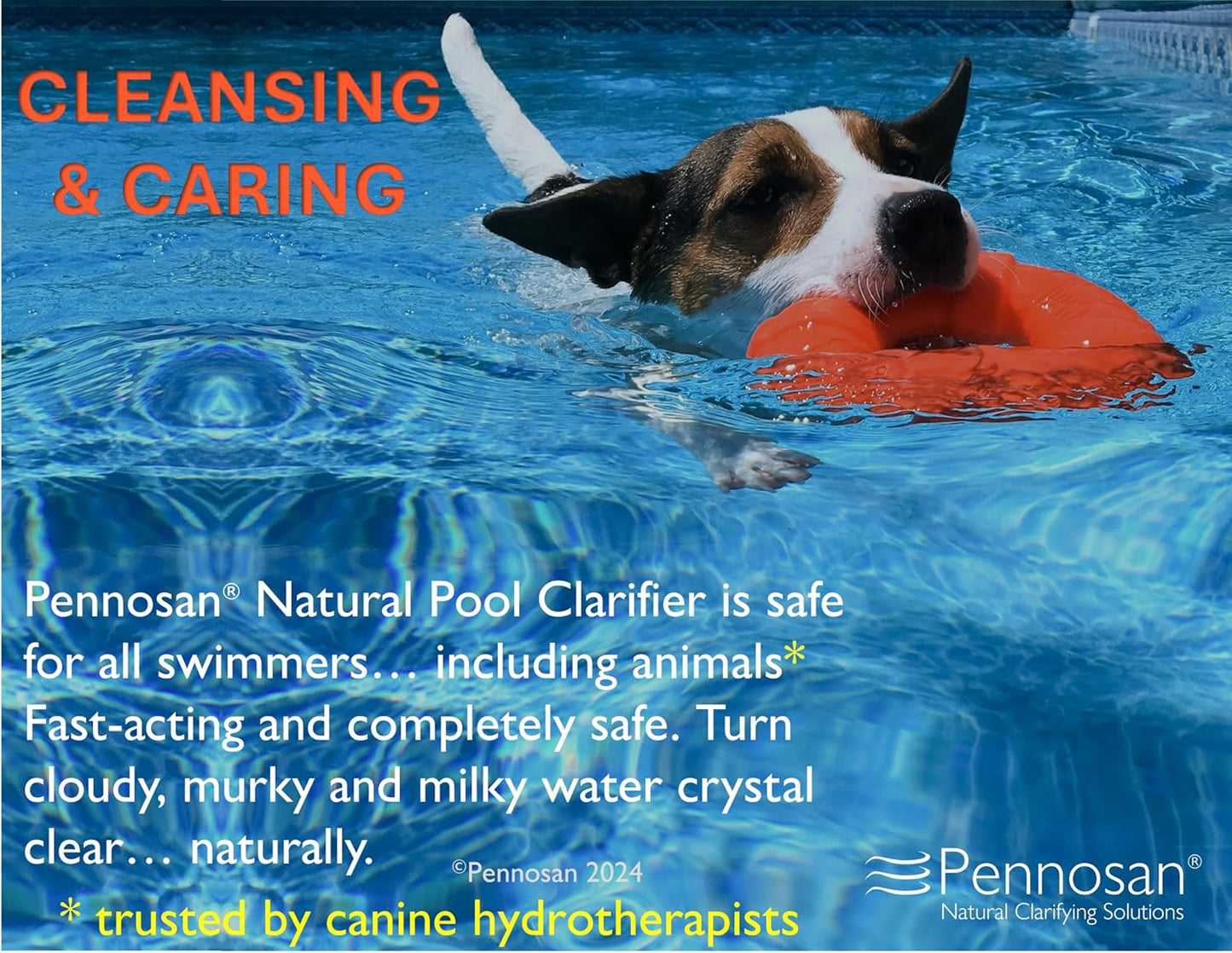 Natural Pool Clarifier 1L | The Natural Choice | Non-Chemical Pool Clarifier | For Crystal Clear, Clean Water