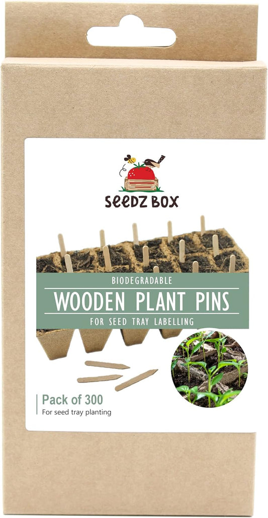 Wooden Plant Labels for Outdoor and Indoor Plants - 300 x Premium Birch Seedling Plant Labels - Mark with Pencil Ball-Point or Marker Pen - Less Smudging - Seedzbox