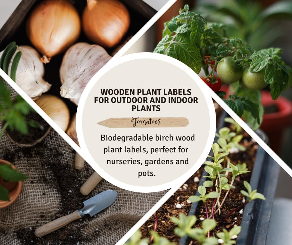 Wooden Plant Labels for Outdoor and Indoor Plants - 300 x Premium Birch Seedling Plant Labels - Mark with Pencil Ball-Point or Marker Pen - Less Smudging - Seedzbox