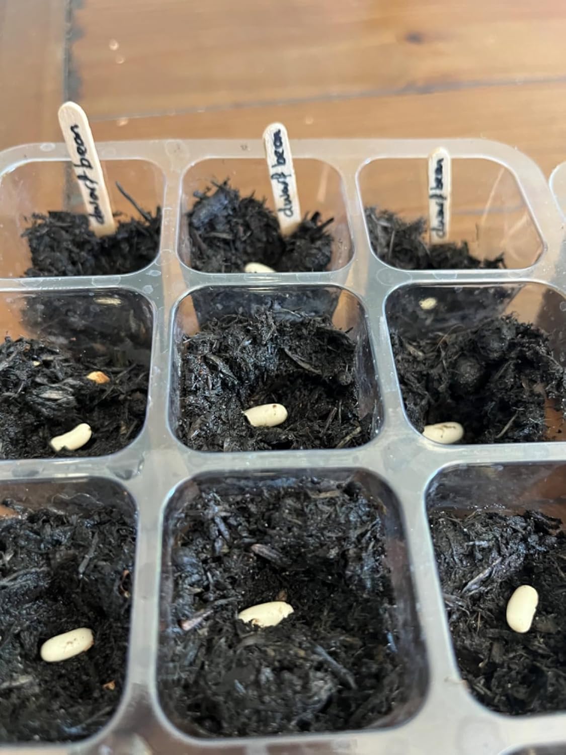 Wooden Plant Labels for Outdoor and Indoor Plants - 300 x Premium Birch Seedling Plant Labels - Mark with Pencil Ball-Point or Marker Pen - Less Smudging - Seedzbox