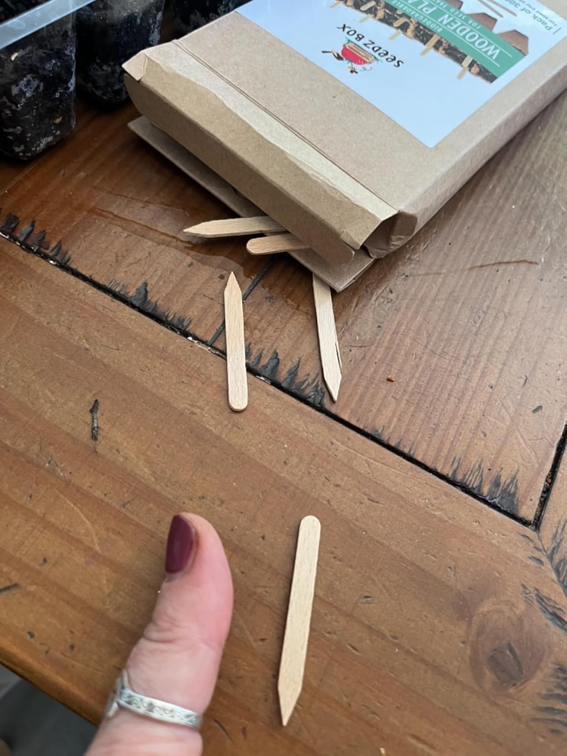 Wooden Plant Labels for Outdoor and Indoor Plants - 300 x Premium Birch Seedling Plant Labels - Mark with Pencil Ball-Point or Marker Pen - Less Smudging - Seedzbox