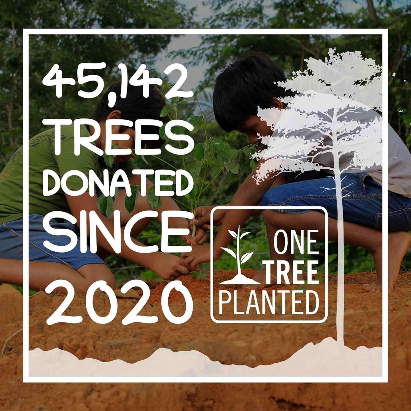 Wooden Plant Labels for Outdoor and Indoor Plants - 300 x Premium Birch Seedling Plant Labels - Mark with Pencil Ball-Point or Marker Pen - Less Smudging - Seedzbox